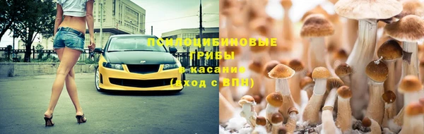 Альфа ПВП Абаза
