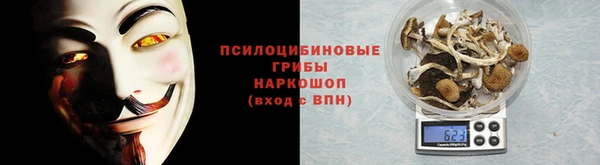 Альфа ПВП Абаза