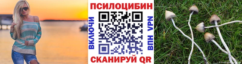Псилоцибиновые грибы ЛСД Усолье